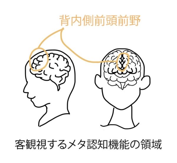 図1）脳にある背内側前頭前野