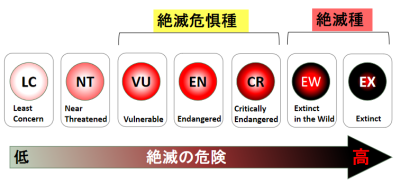図1-1）レッドリスト　カテゴリー